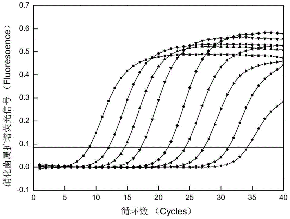 Fluorescent quantitative PCR detection method of nitrite oxidizing bacteria from sewage treatment plant