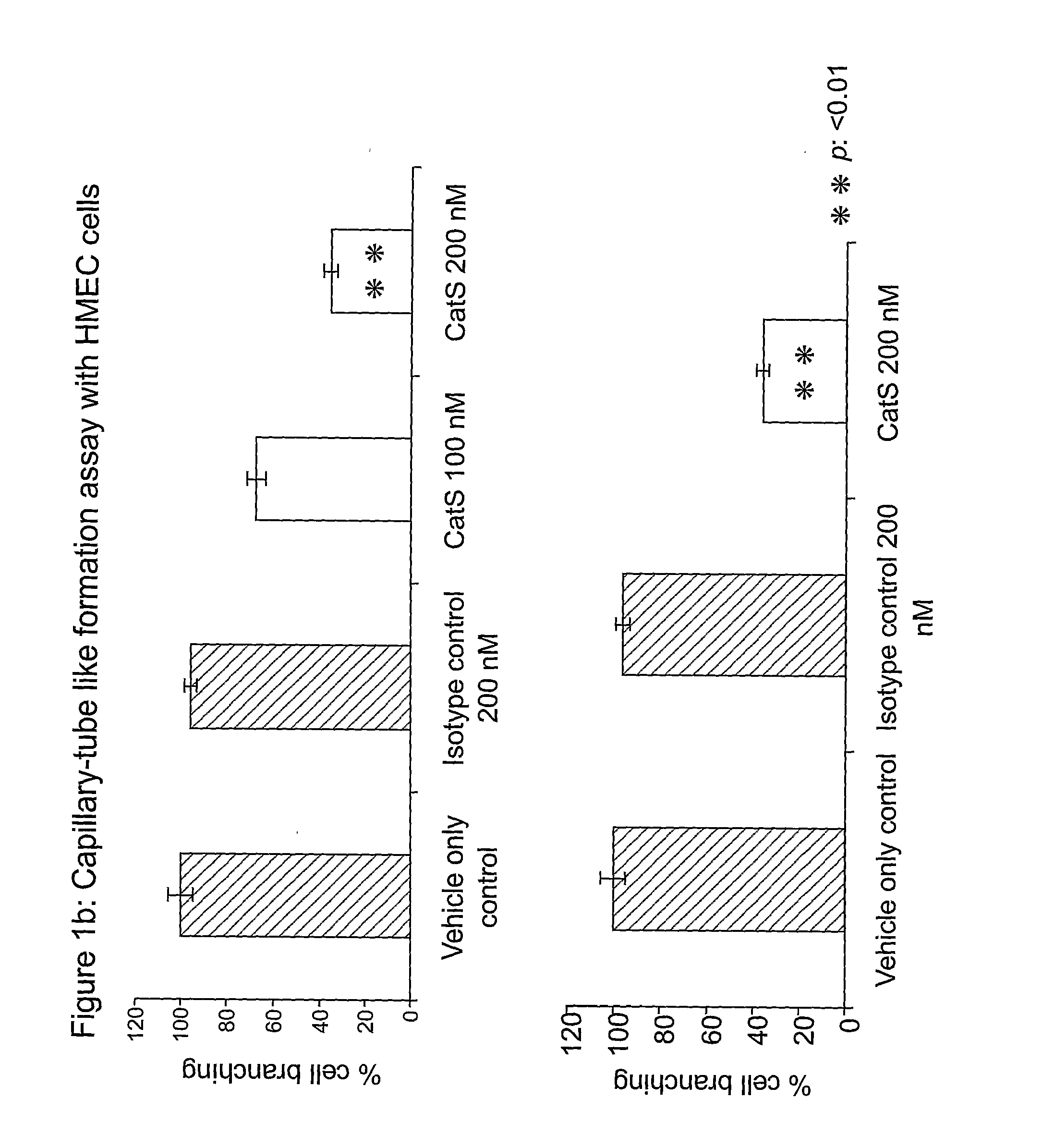 Antibody and uses thereof