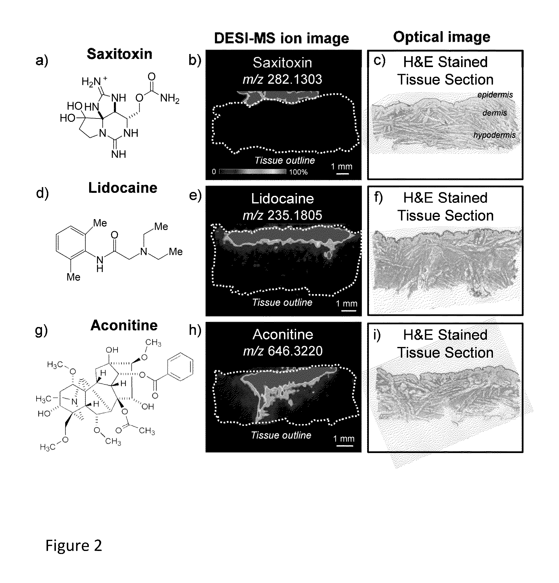 Batrachotoxin analogues, compositions, uses, and preparation thereof