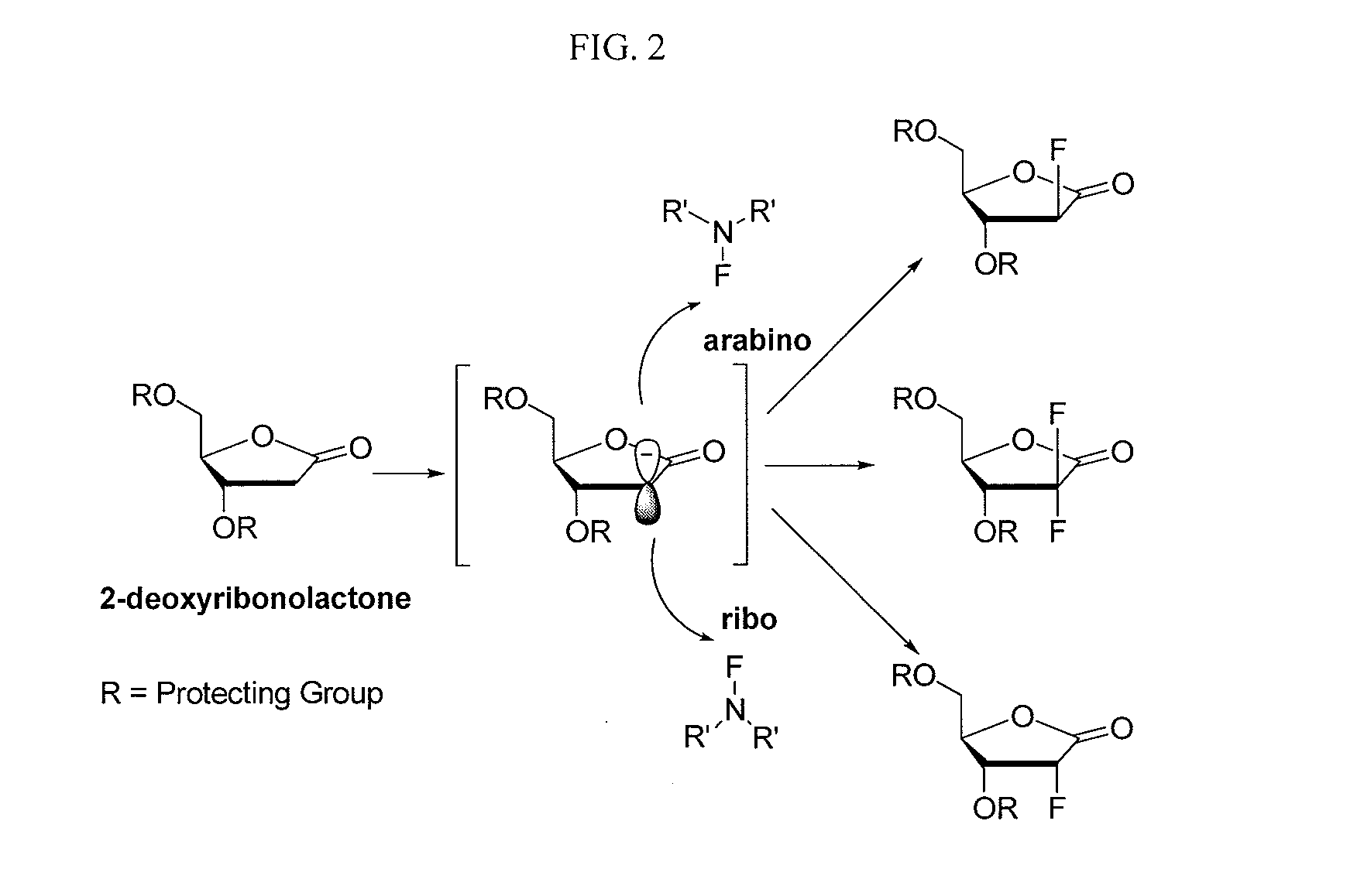 2-fluorinated riboses and arabinoses and methods of use and synthesis