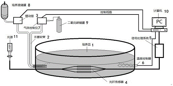 3D cell culture system