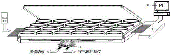 3D cell culture system