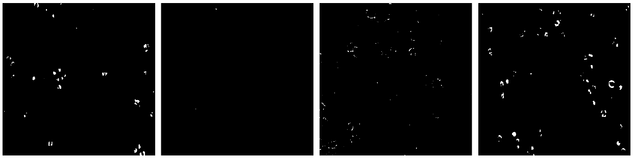 Application of nitrogen-containing heterocyclic ester compounds in the preparation of drugs against Coxsackie virus type b3