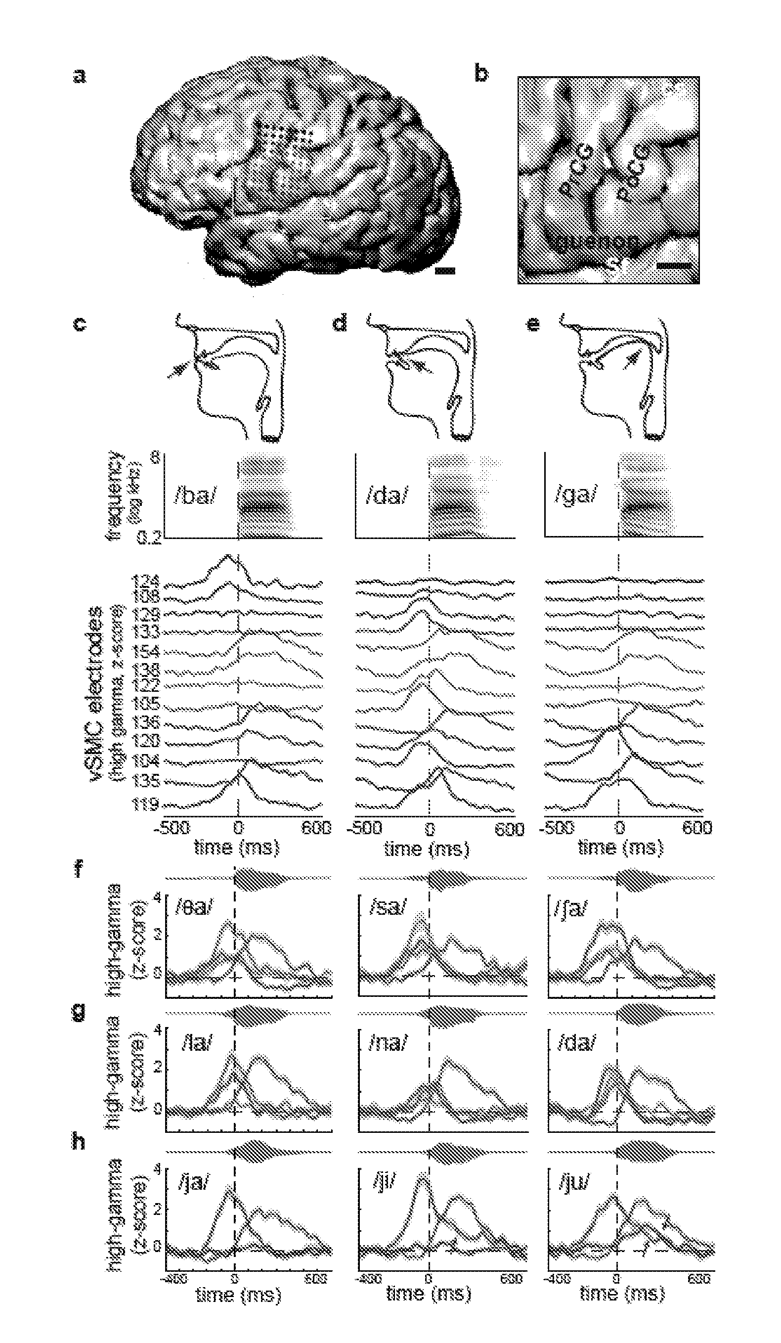 Methods of Decoding Speech from the Brain and Systems for Practicing the Same