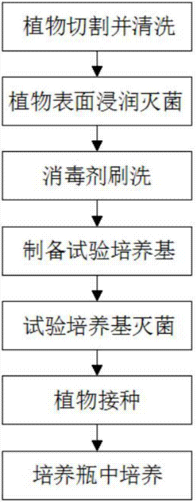 Implementation method for culture in plant culture bottle