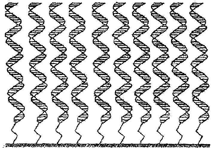 Prepn. of double-stranded nucleic acid on surface of solid support