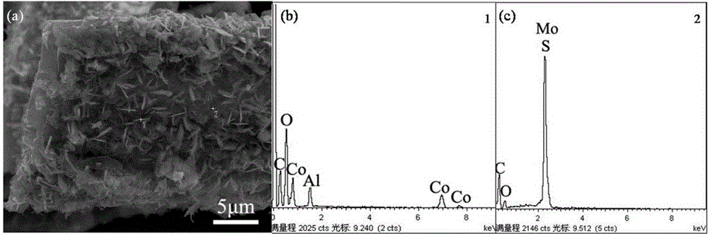 Compound photocatalyst and preparing method and application thereof