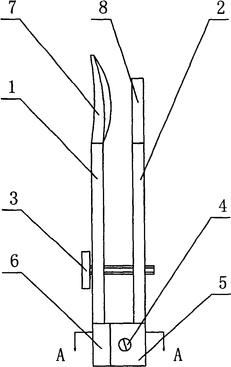 Pinna hydatoncus pressurizer