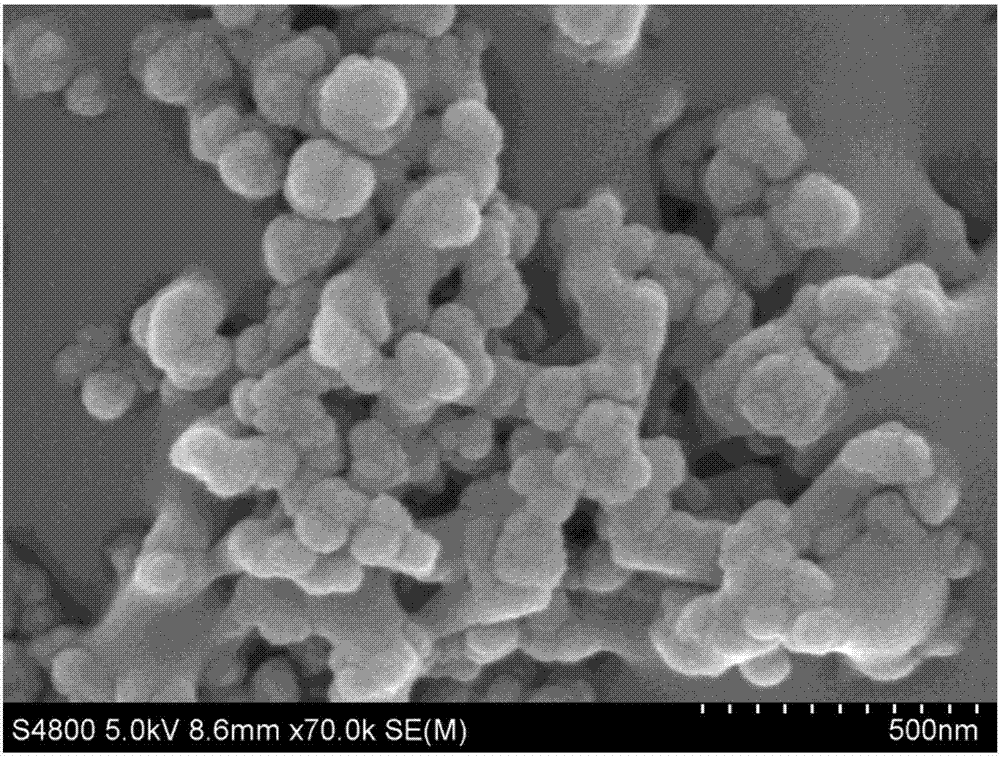 Unicellular organism-based high-hydrophobicity micrometer powder material, and preparation method thereof