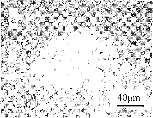 Magnesium-zincium-manganese based magnesium alloy containing cerium