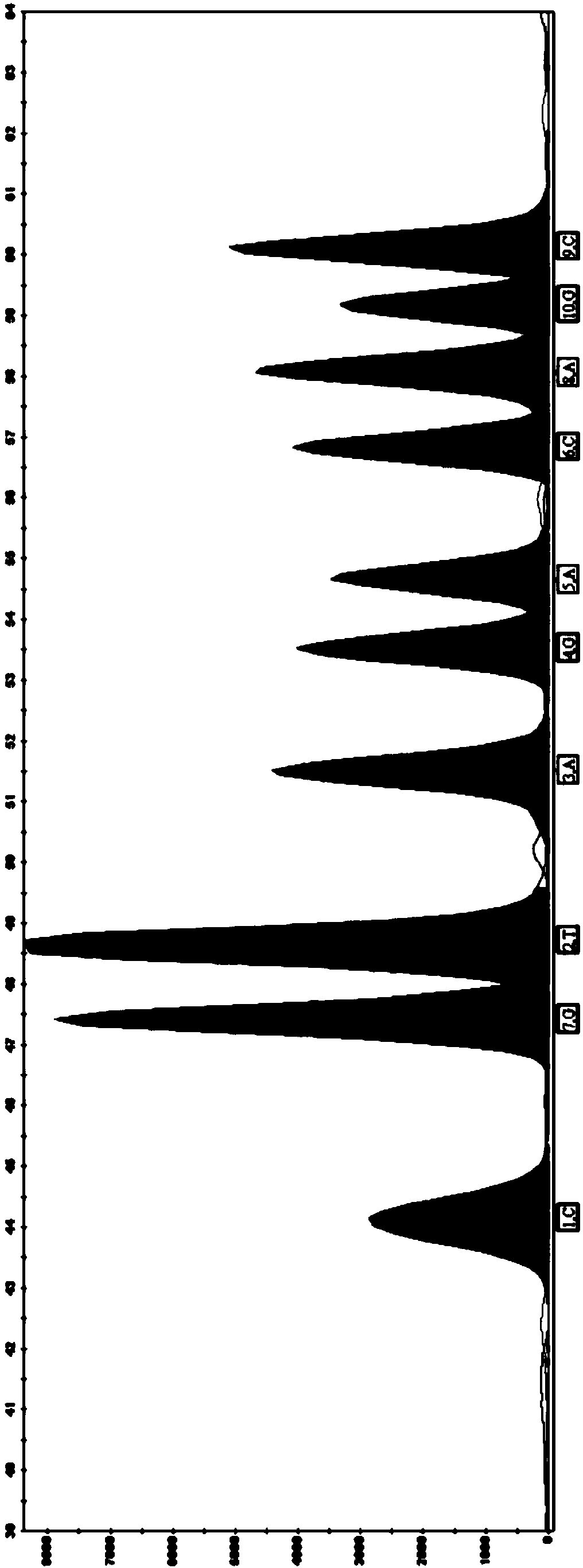 Method and system for Y-SNP typing of male individuals