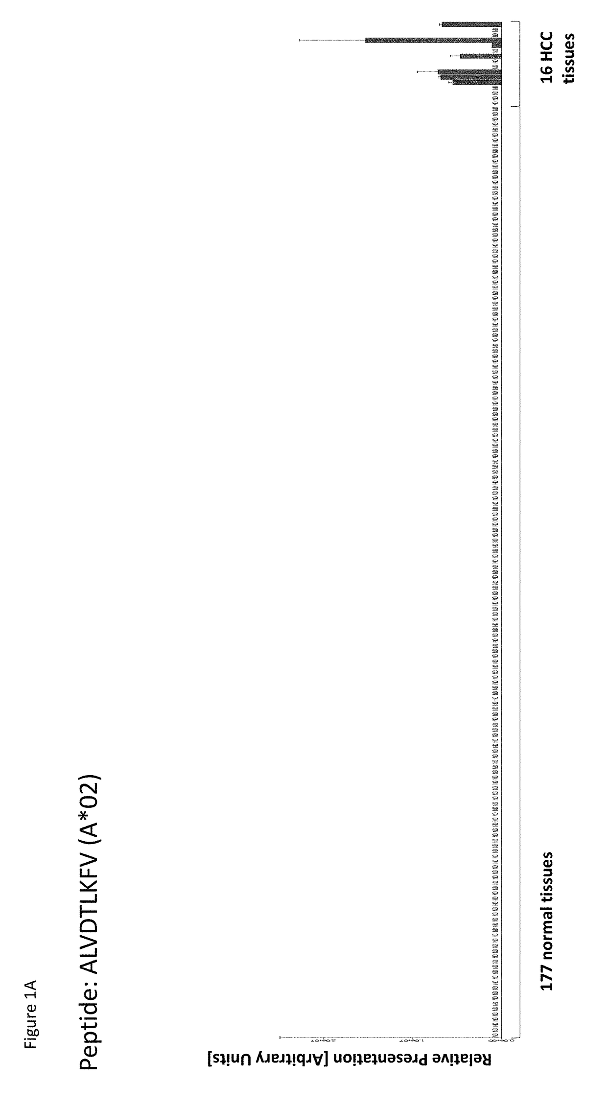 Peptides and combination of peptides for use in immunotherapy against hepatocellular carcinoma (HCC) and other cancers