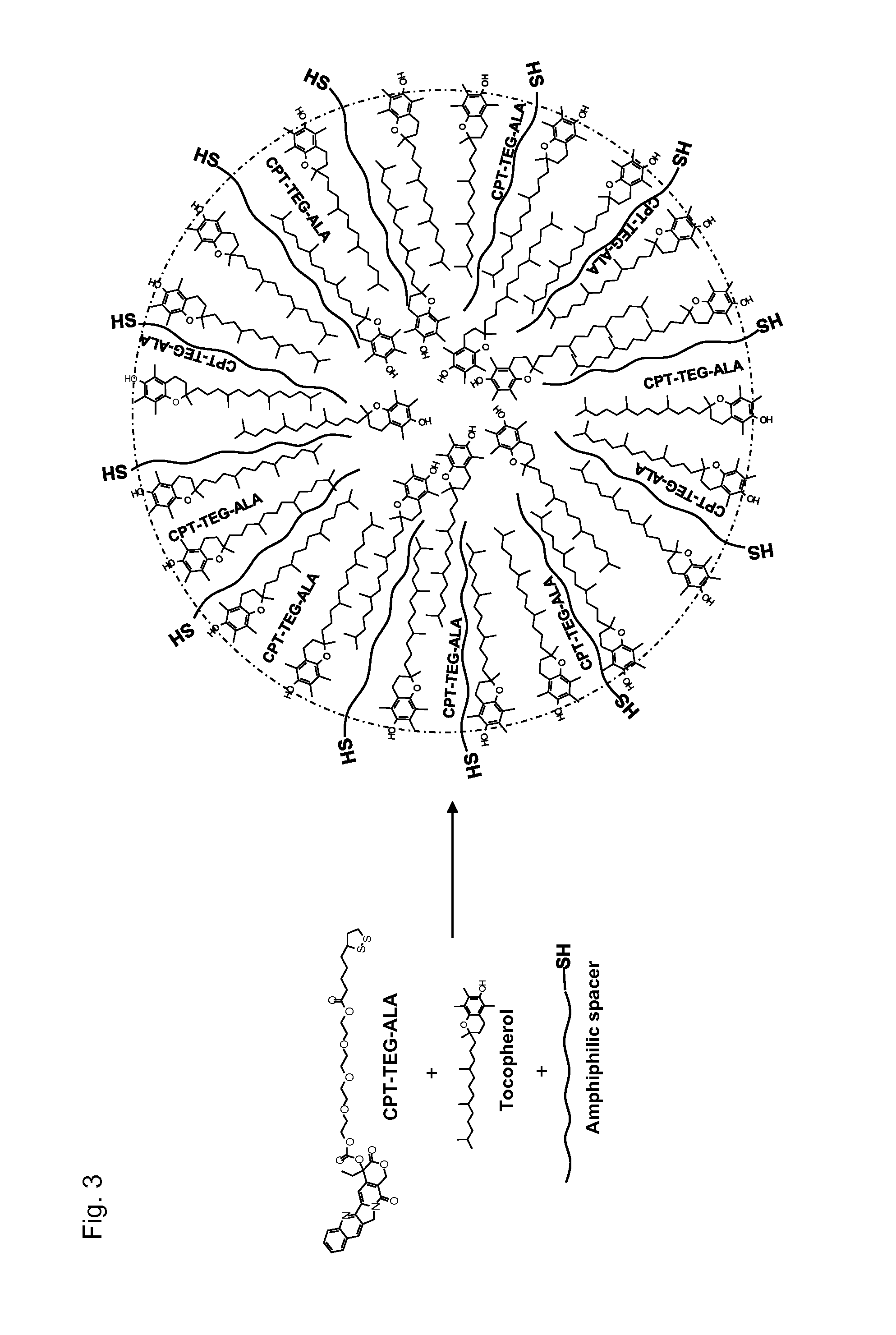 Antioxidant, neuroprotective and antineoplastic nanoparticles comprising a therapeutic agent on an amphiphilic spacer or an amphiphilic polymer