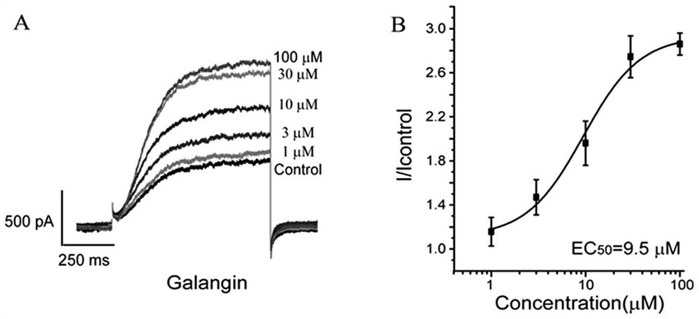 Application of galangin and derivatives thereof in preparation of drugs for preventing and treating nervous system diseases