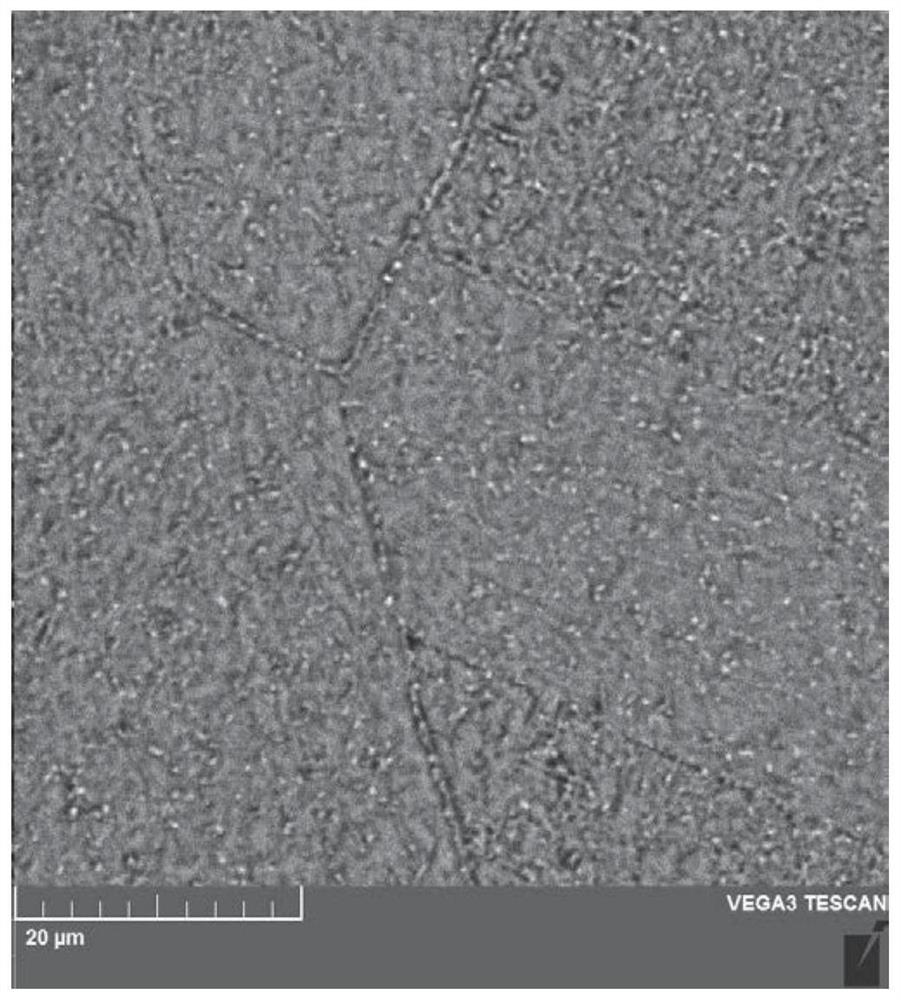 High-temperature oxidation-resistant austenitic heat-resistant stainless steel and its preparation method and use