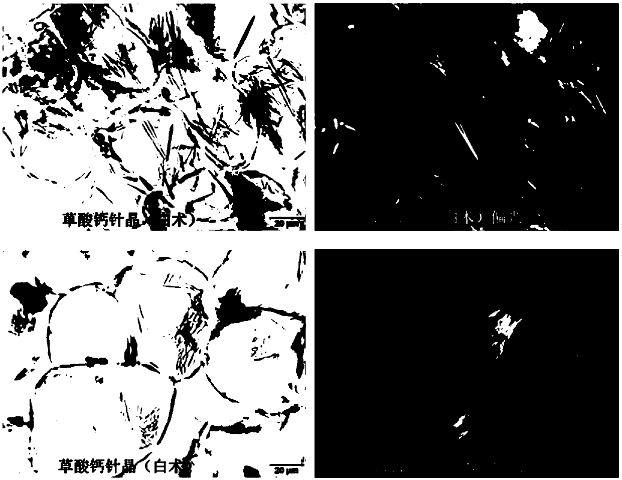 Method for identifying spleen arousing pill