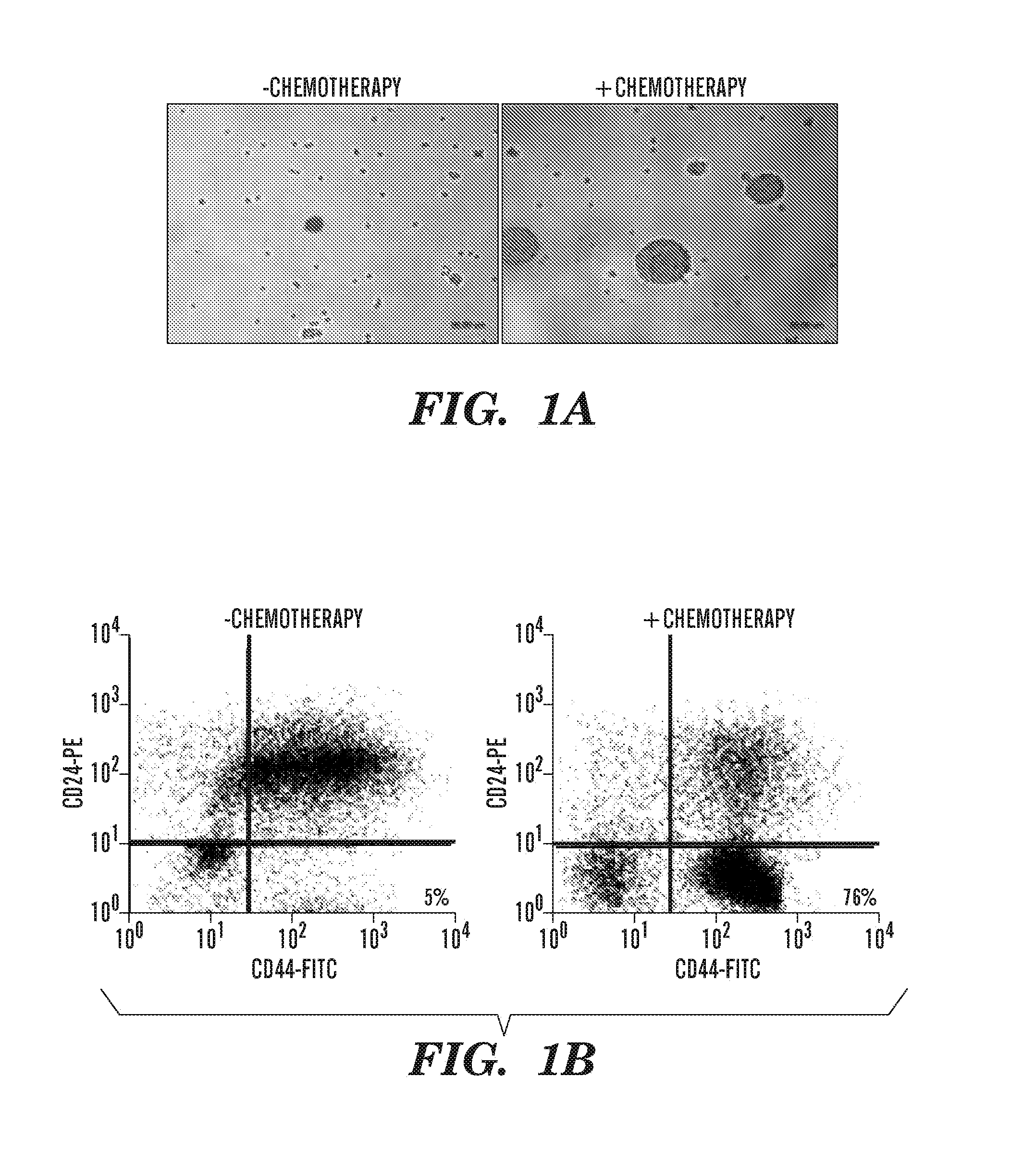 Let-7 microrna and mimetics thereof as therapeutics for cancer