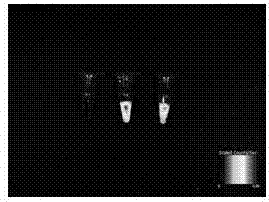 Collagen-based bilayer membrane material for directional release of loaded growth factors and manufacturing method of collagen-based bilayer membrane material