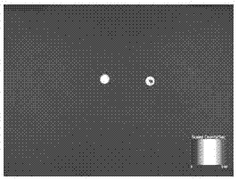 Collagen-based bilayer membrane material for directional release of loaded growth factors and manufacturing method of collagen-based bilayer membrane material