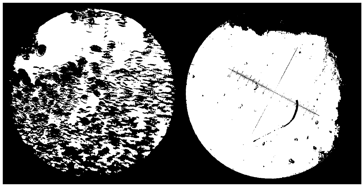 Antibacterial degradable composite fiber preparation method