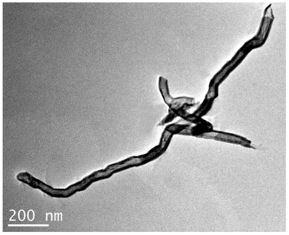 Method for preparing molybdenum disulfide nanotube