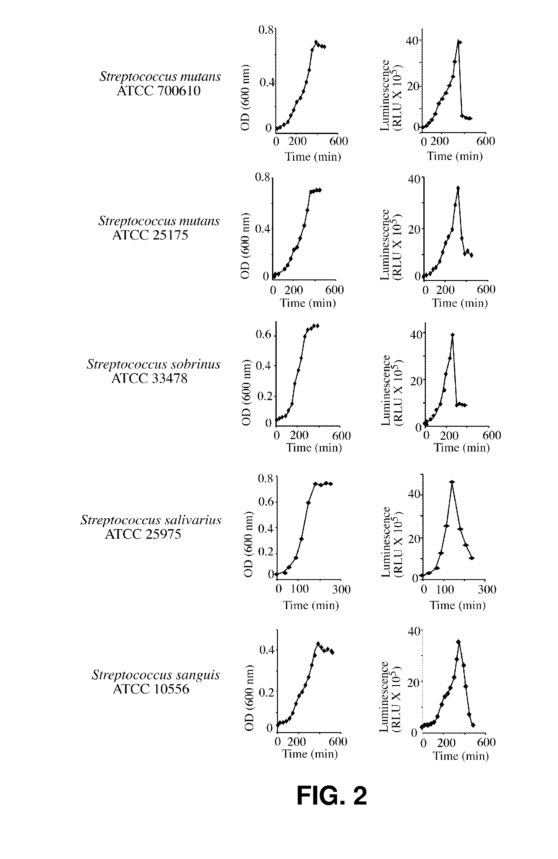 Systems, kits, and methods for detecting cariogenic bacteria and assessing risk of dental caries