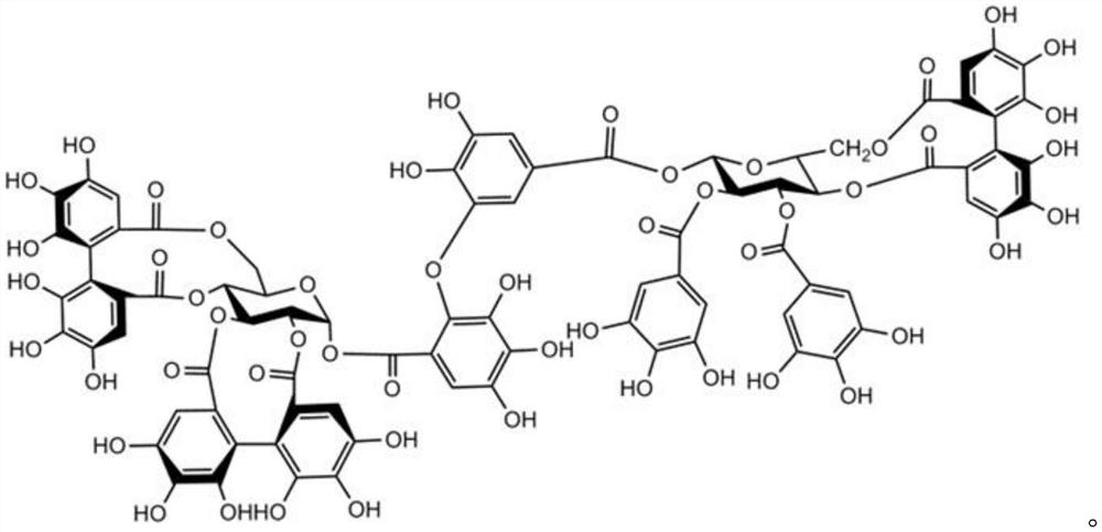 Rose active extract and application thereof