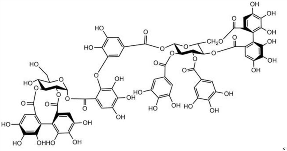 Rose active extract and application thereof