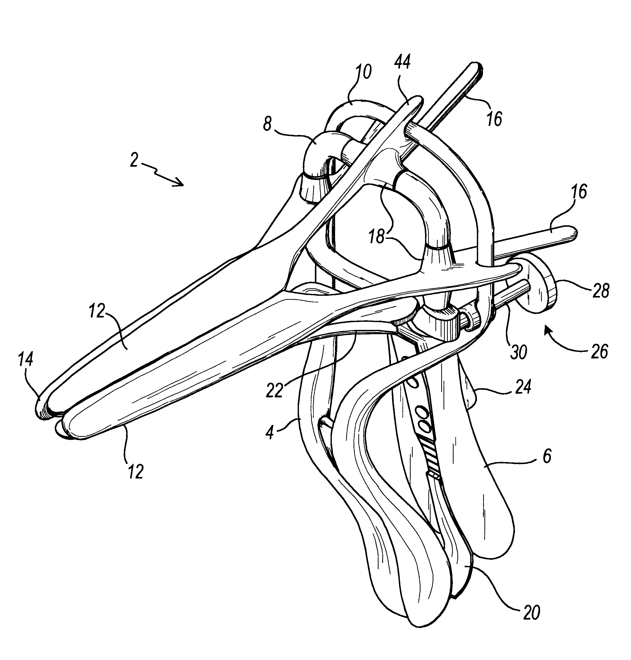 Speculum