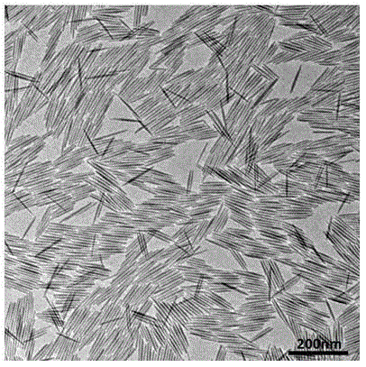 Preparation method of fluor-hydroxyapatite nanoshuttle