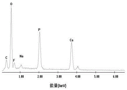 Preparation method of fluor-hydroxyapatite nanoshuttle