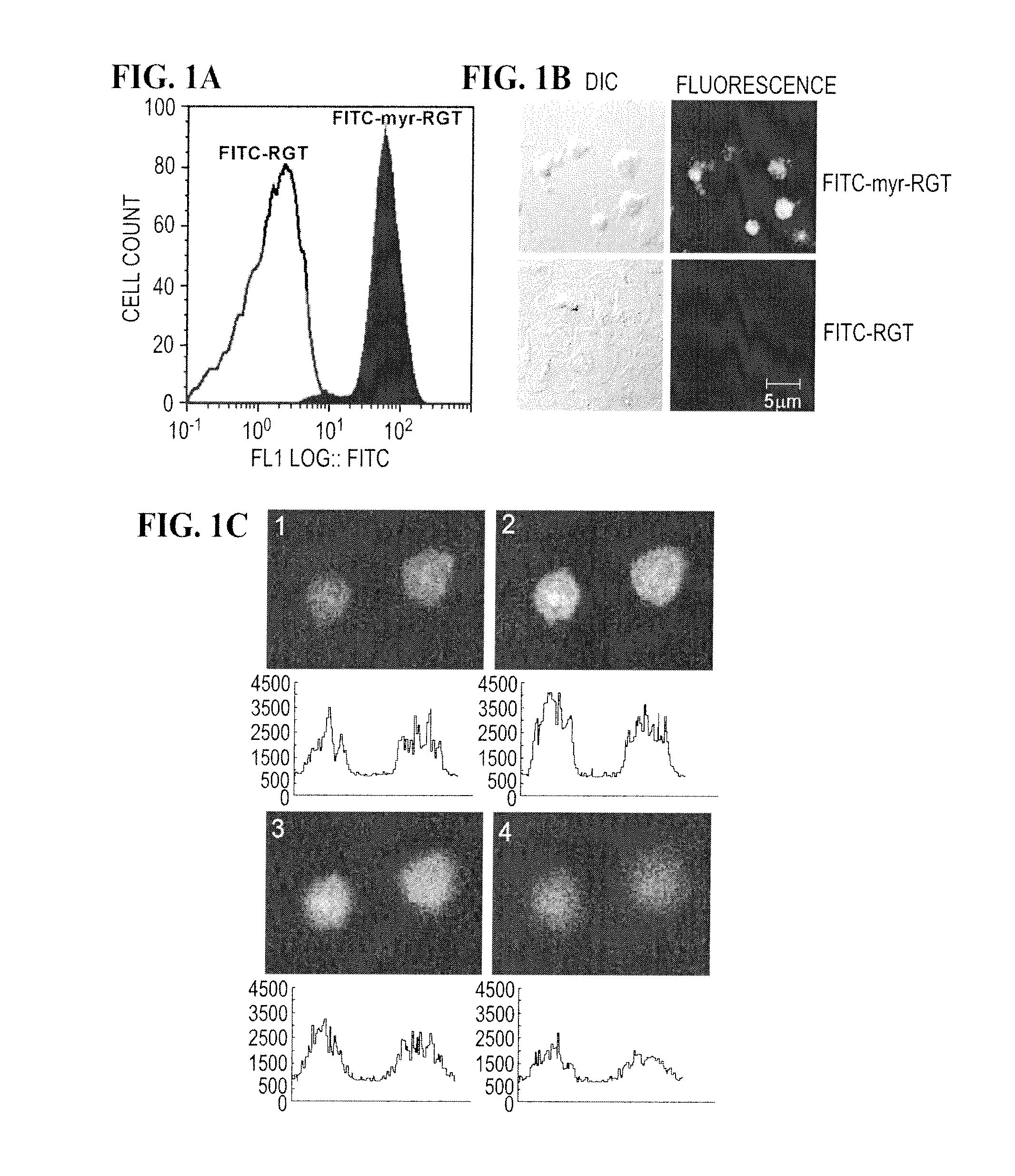 Modulation of Platelet Aggregation