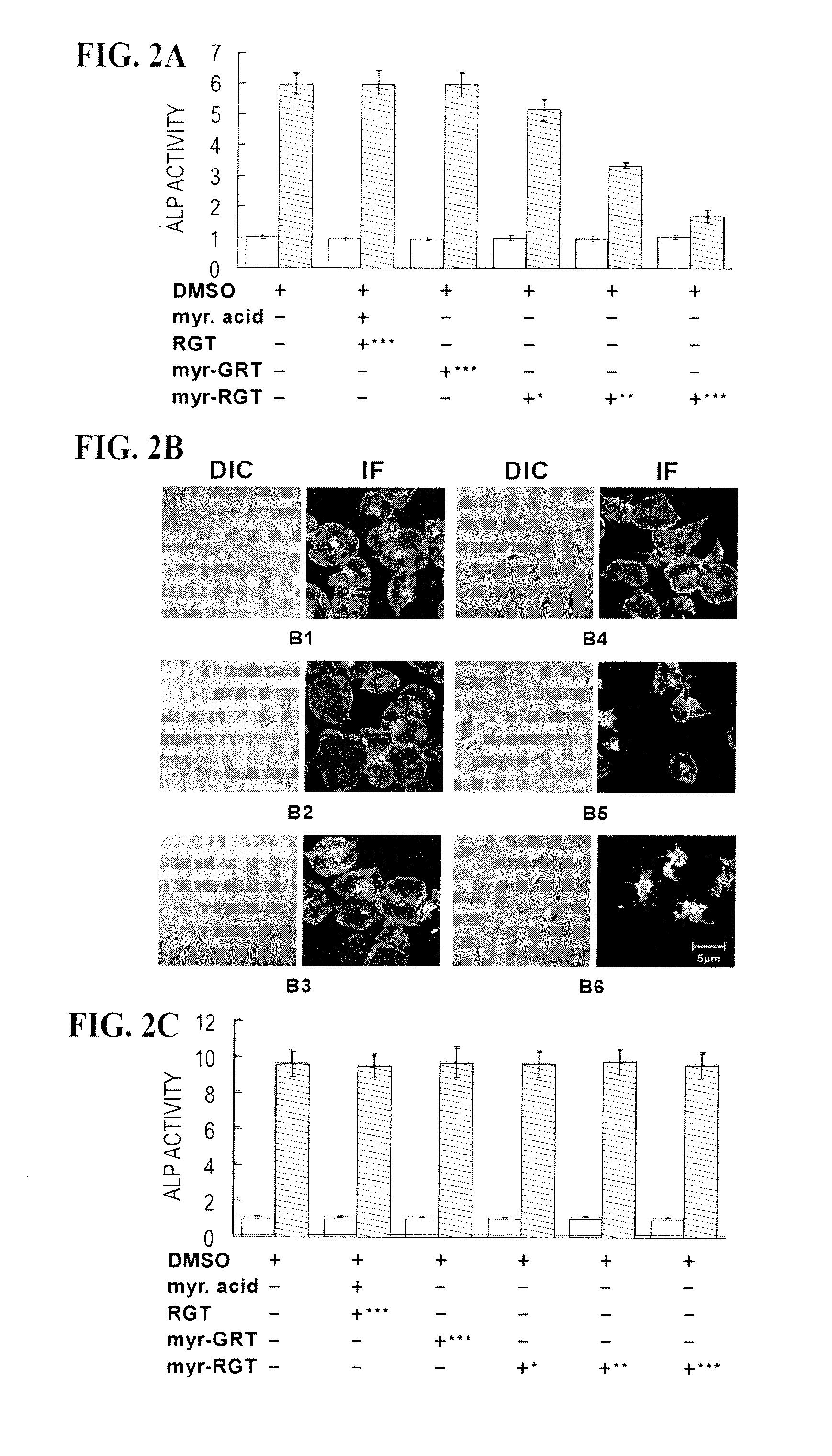 Modulation of Platelet Aggregation