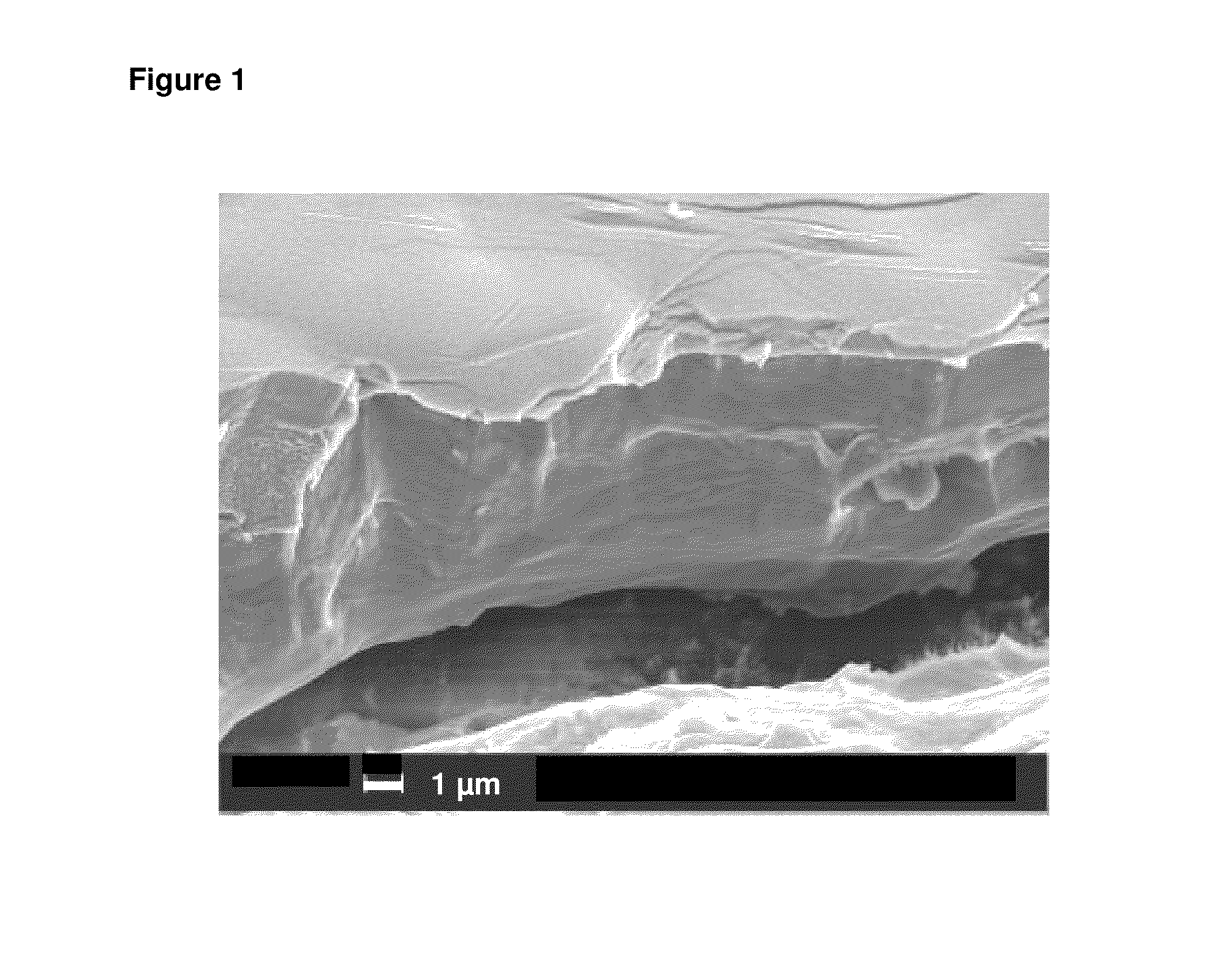 Method for electroless nickel-phosphorous alloy deposition onto flexible substrates