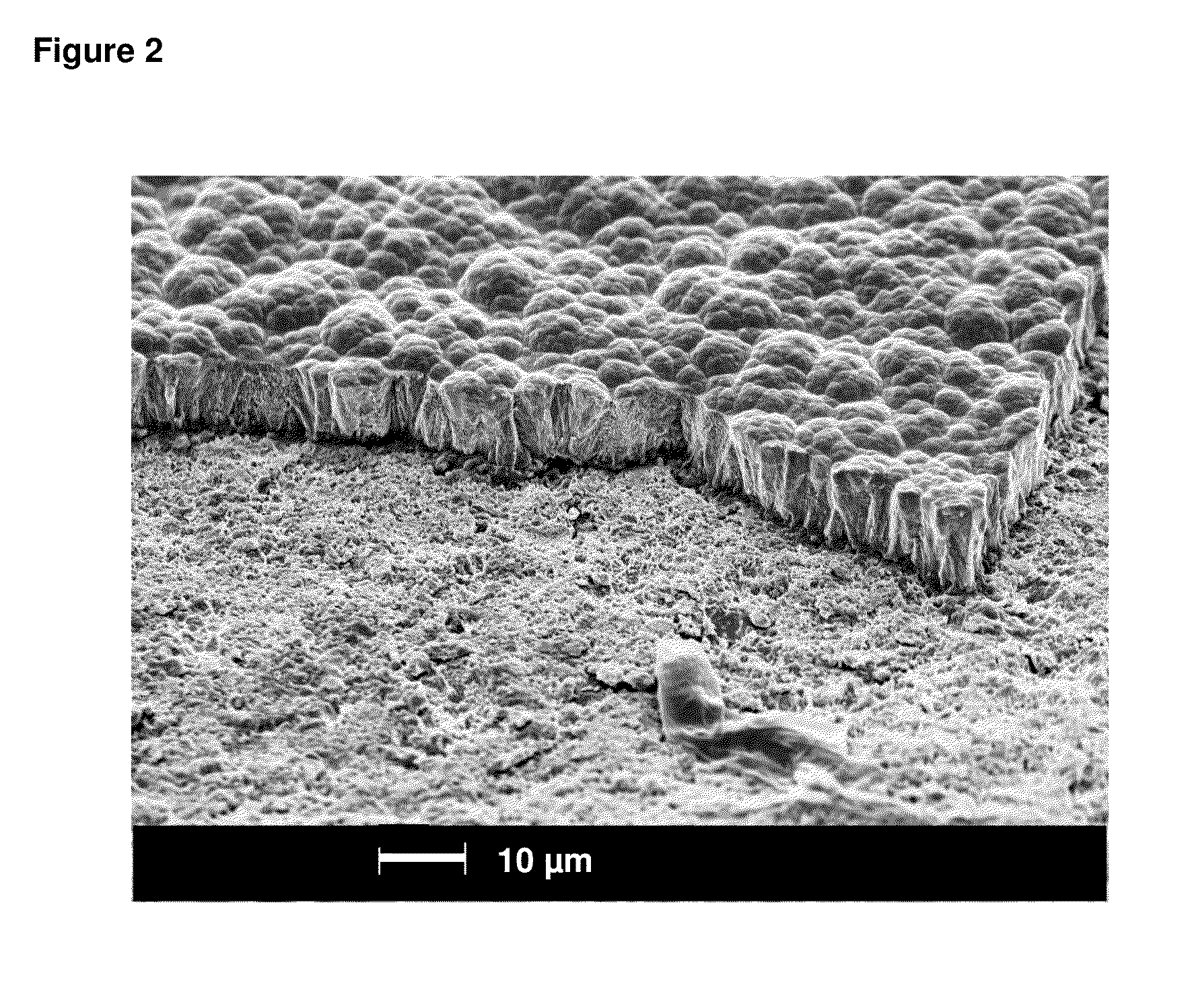 Method for electroless nickel-phosphorous alloy deposition onto flexible substrates