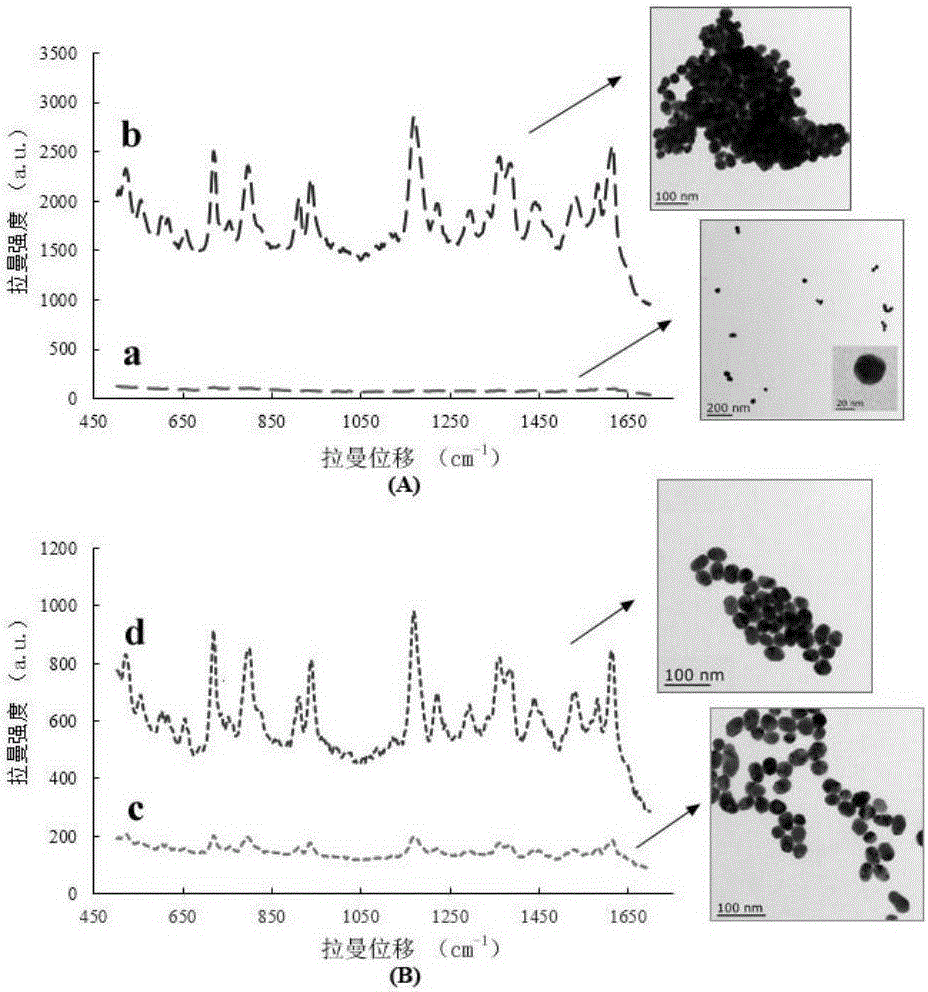 Trace pesticide residue surface enhanced Raman spectrum detection method based on a nucleic acid aptamer