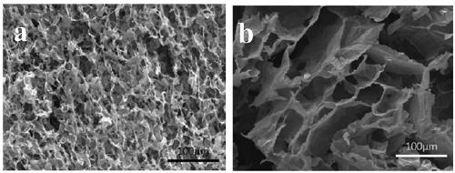 Two-dimensional transition metal carbide (nitride) aerogel as well as preparation method and application thereof