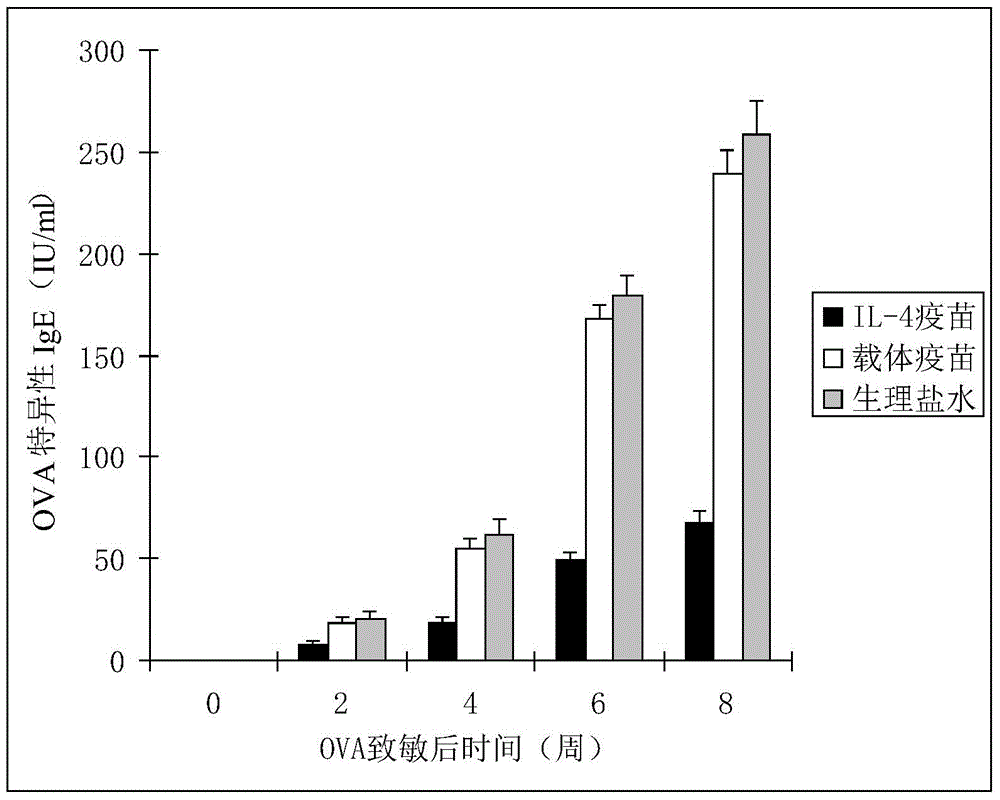 Therapeutic interleukin-4 vaccine capable of treating human or animal tumor diseases