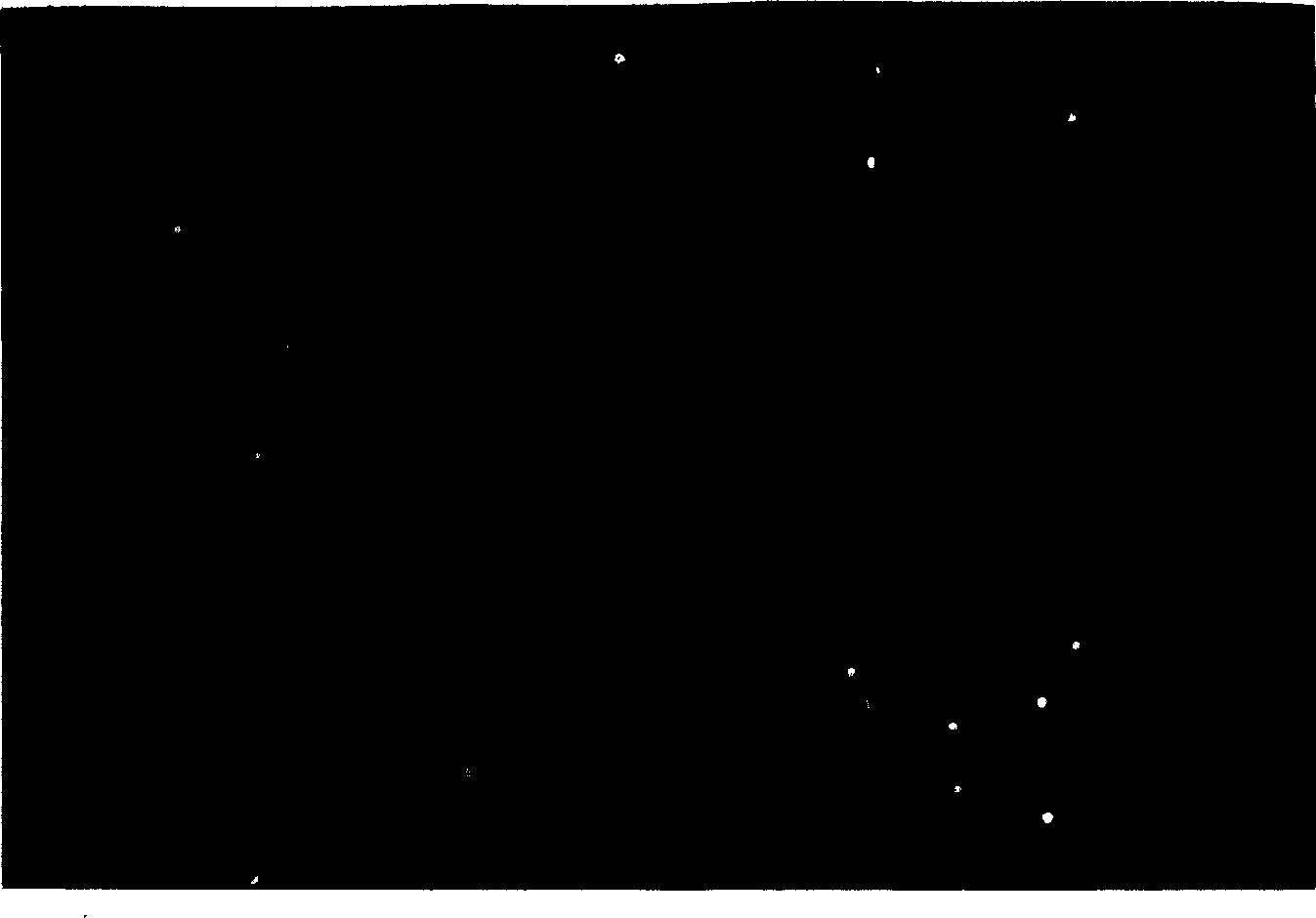 Trichoderma harziarum strain