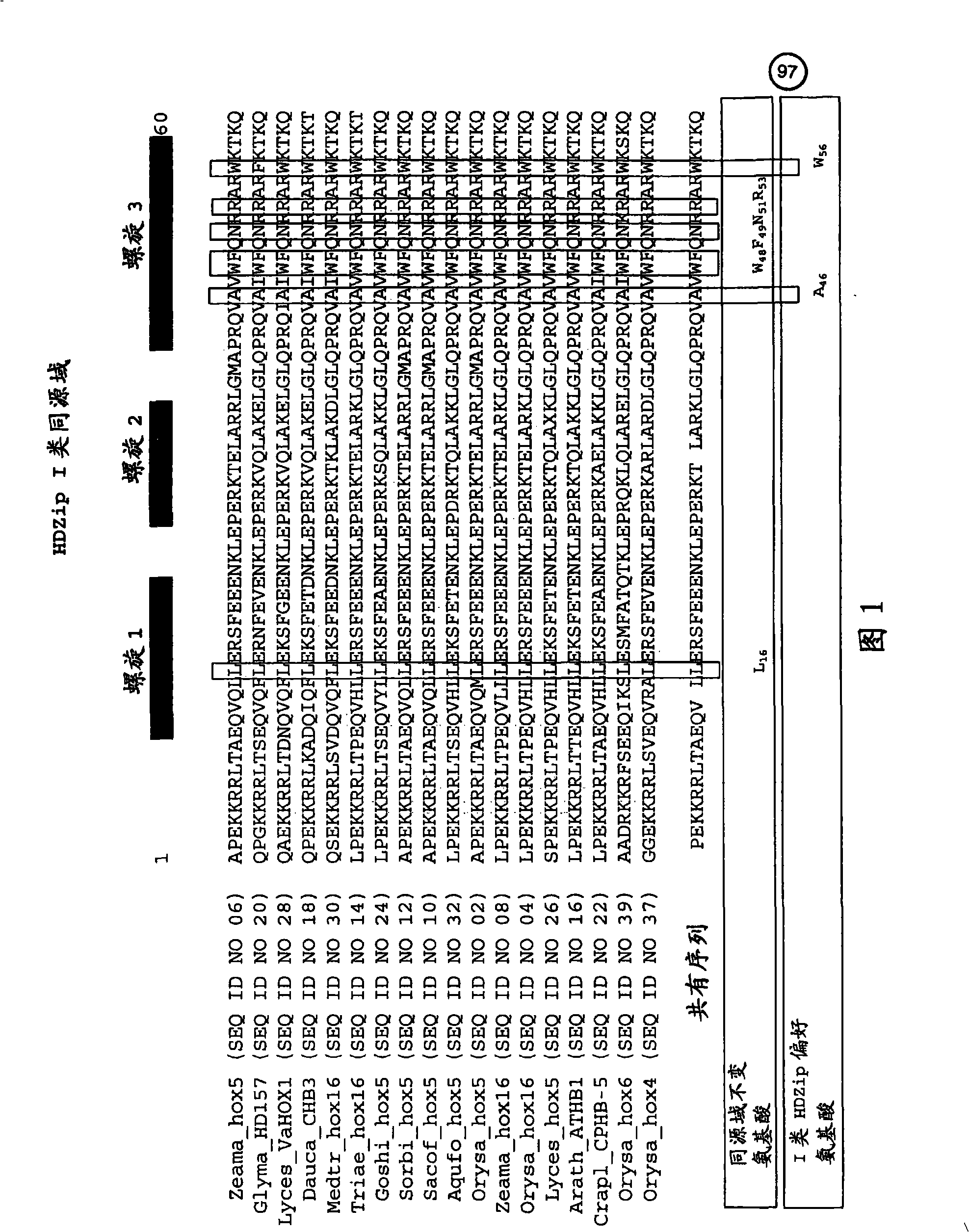 Plants having improved growth characteristics and a method for making the same