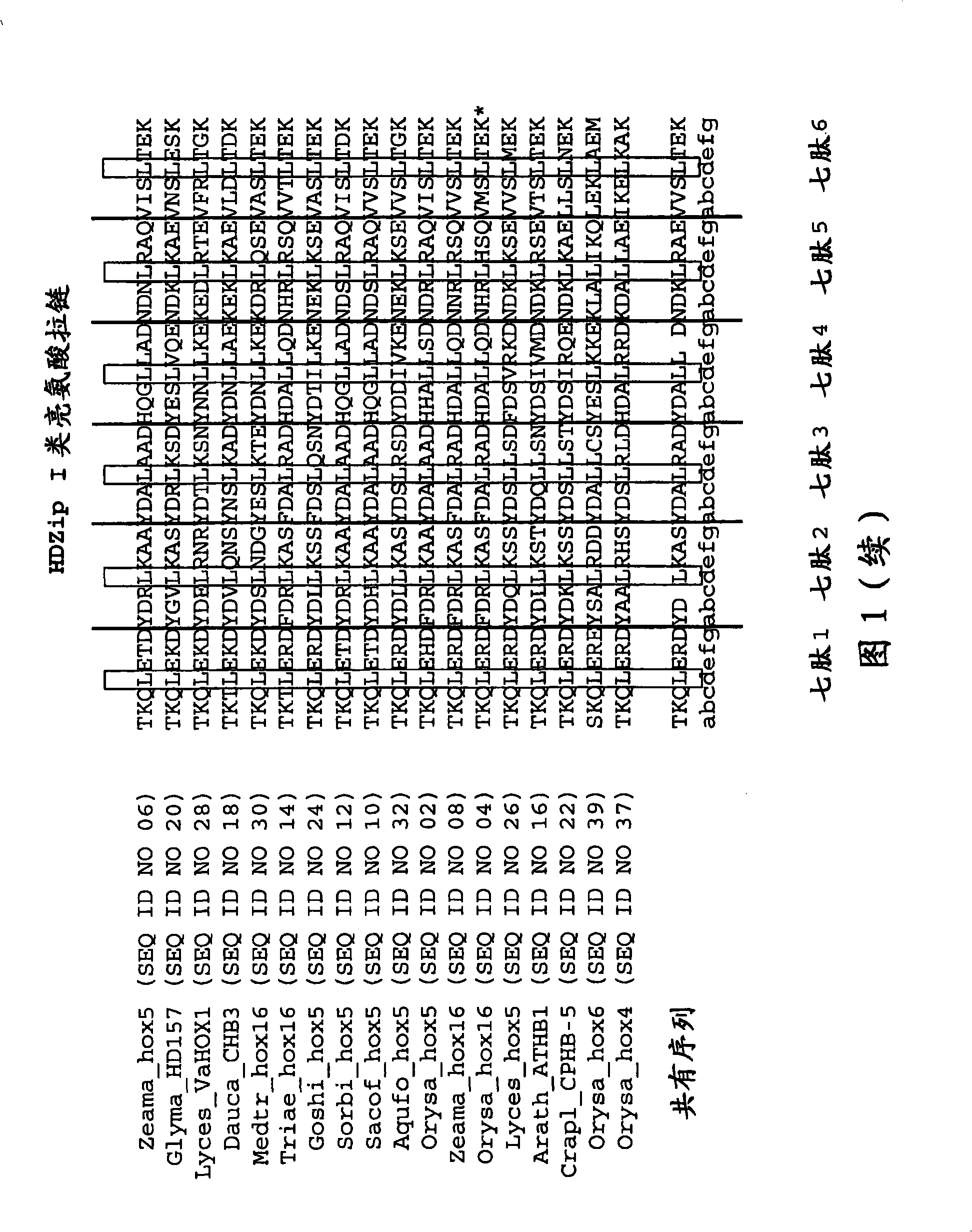 Plants having improved growth characteristics and a method for making the same