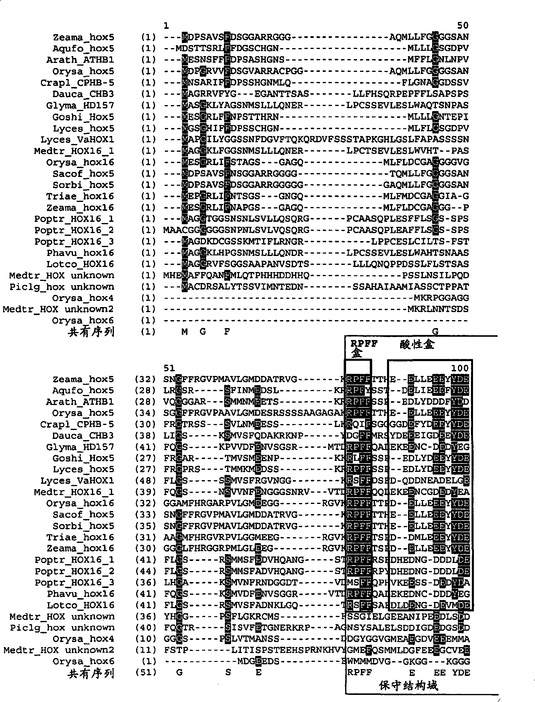 Plants having improved growth characteristics and a method for making the same