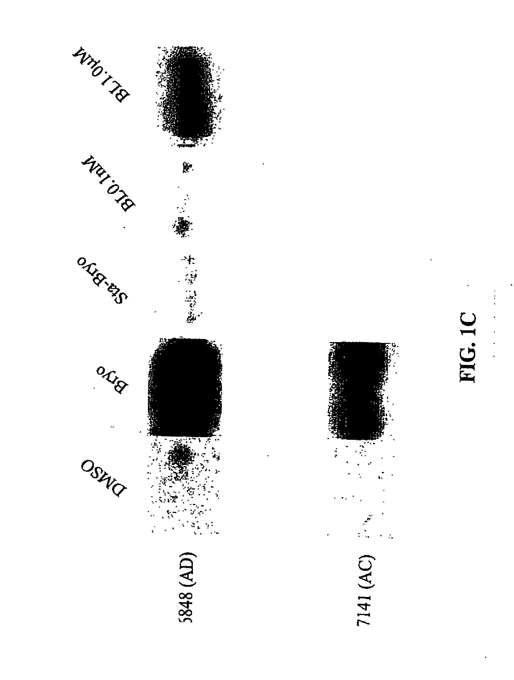 PCK ACTIVATION AS A MEANS FOR ENHANCING sAPPa SECRETION AND IMPROVING COGNITION USING BRYOSTATIN TYPE COMPOUNDS