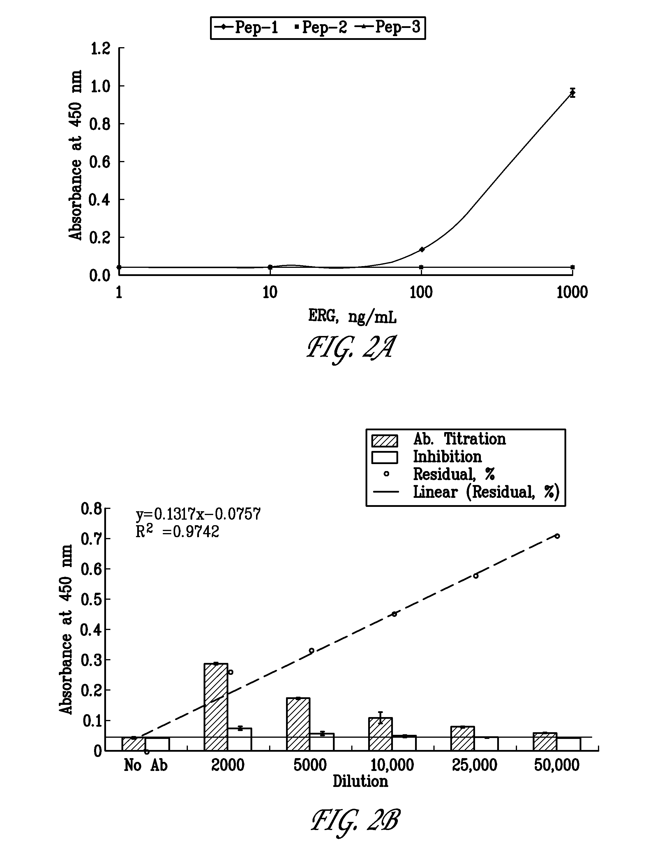 Erg monoclonal antibodies