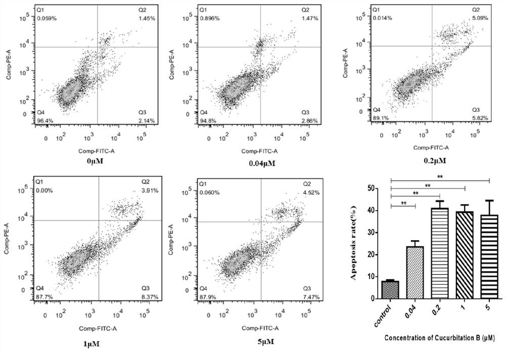 Application of cucurbitacine B and derivatives thereof in preparation of anti-tumor drug-resistant drugs