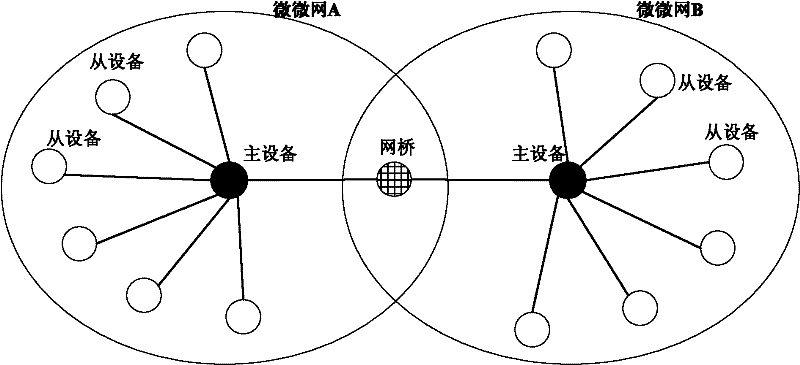 Wireless terminal, short-range SNS (social networking services) system and implementation method based on Bluetooth technology