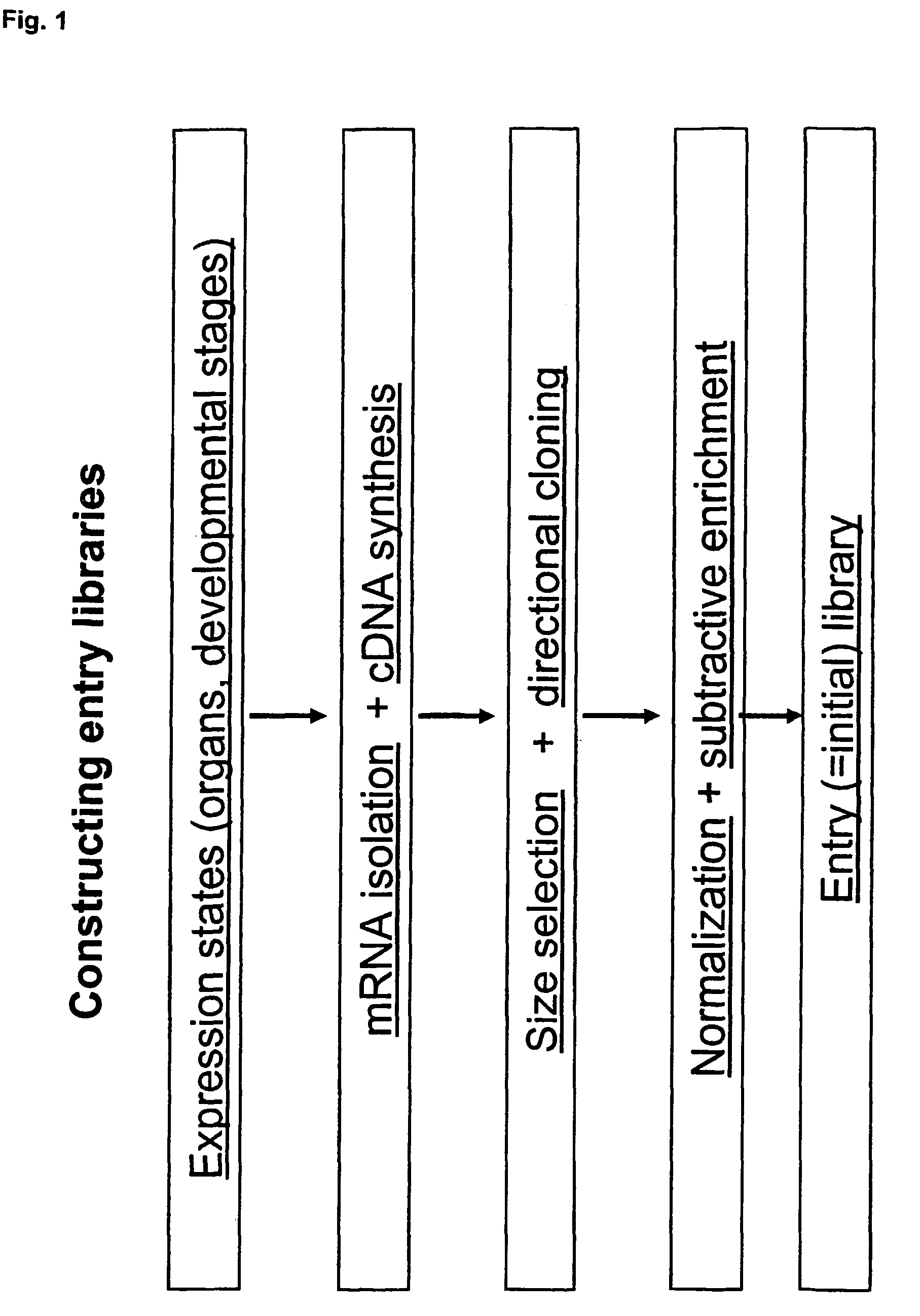 Library of a collection of cells