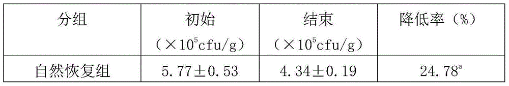 Fruit and vegetable food and preparation method thereof