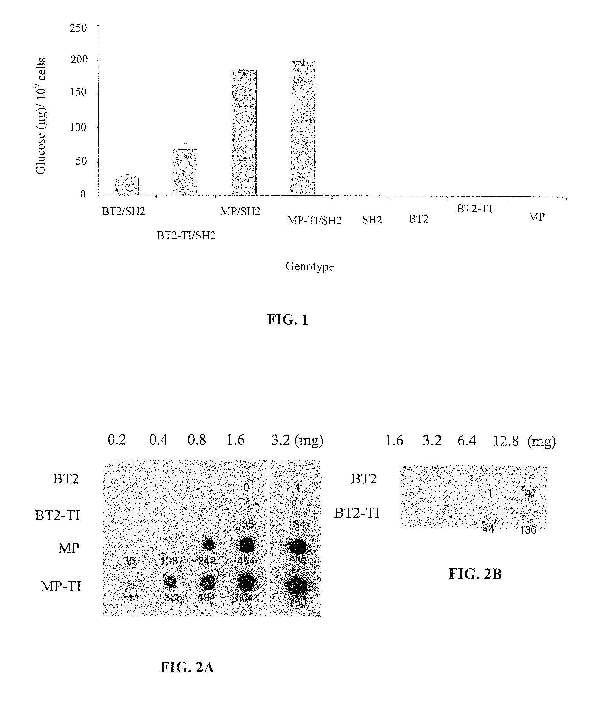 Heat resistant plants and plant tissues comprising a variant adenosine diphosphate glucose pyrophosphorylase small subunit protein and methods of use thereof