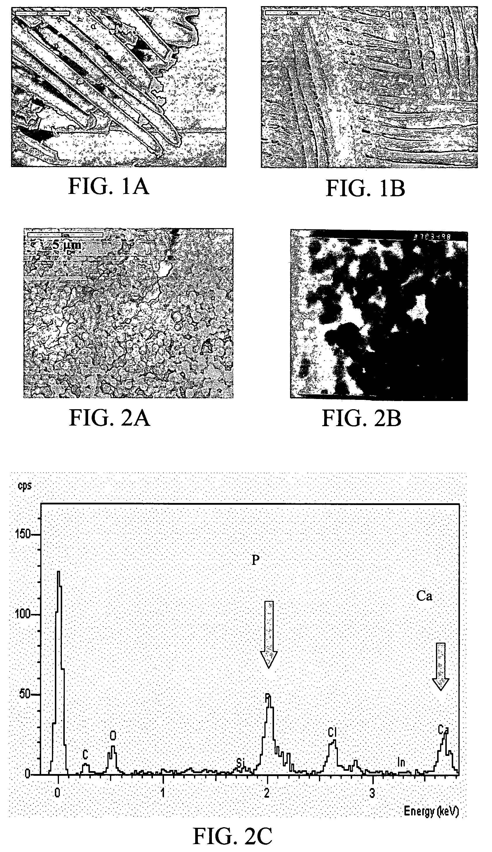 Biomimetic organic/inorganic composites